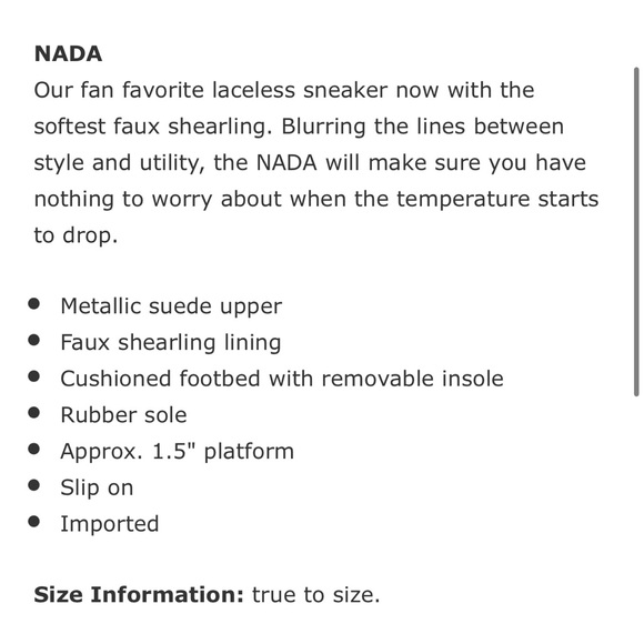 J/SLIDES NADA Pewter Metallic Leather Sneaker - Picture 6 of 12